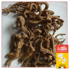 RADICI SELVATICHE DI... 2